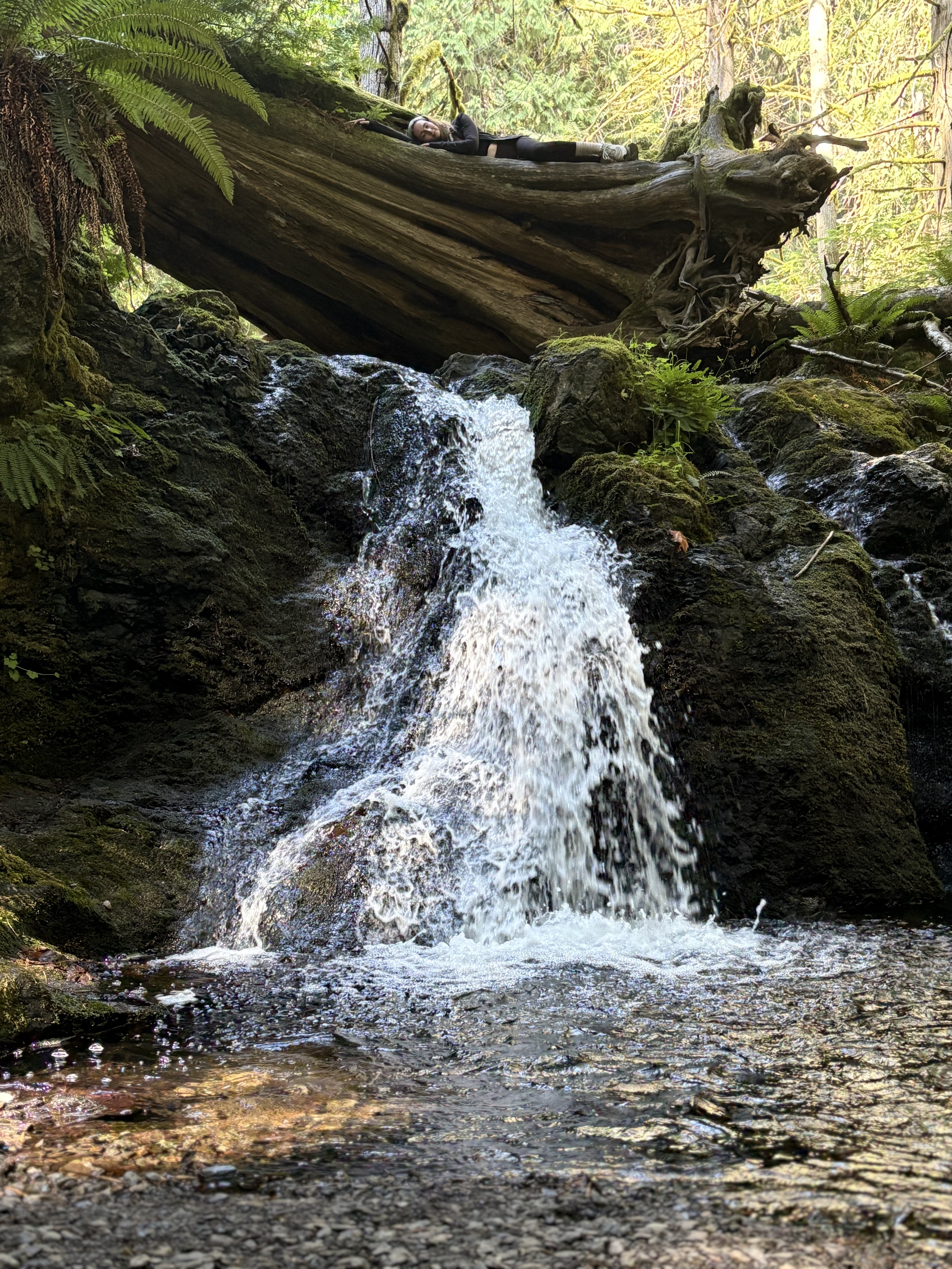 A person resting on a log before a mossy forest waterfall